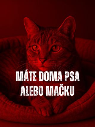 Nie len ľudia, ale aj zvieratá profitujú z terapie červeným svetlom. V posledných rokoch si našla pevné miesto vo...